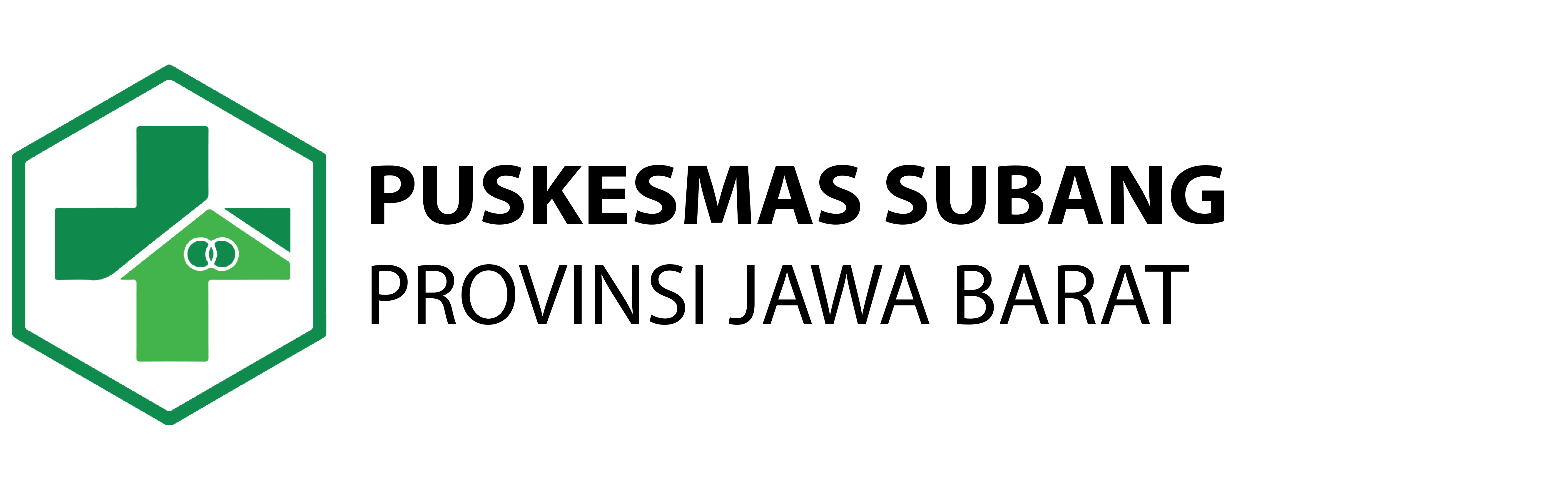Logo Puskesmas
